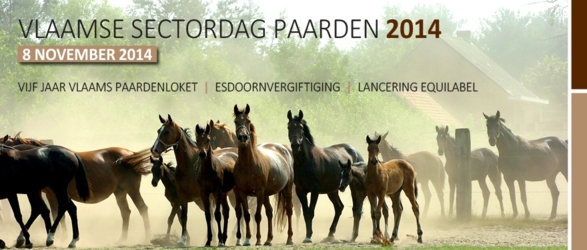 LIVESTREAM: Volg de Vlaamse Sectordag Paarden online, waar u ook wil!