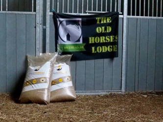 Asielpaarden The Old Horses Lodge staan deze winter tevreden en gezond op stal dankzij schenking Stropellets.be