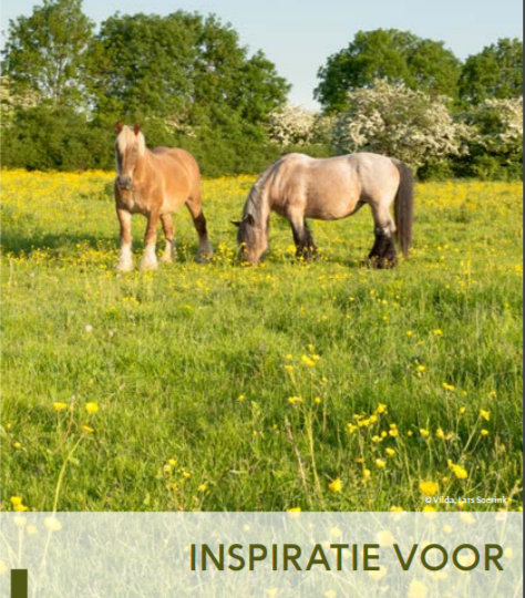 Inspiratiebrochure voor paard en landschap